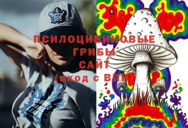 гашик Алзамай